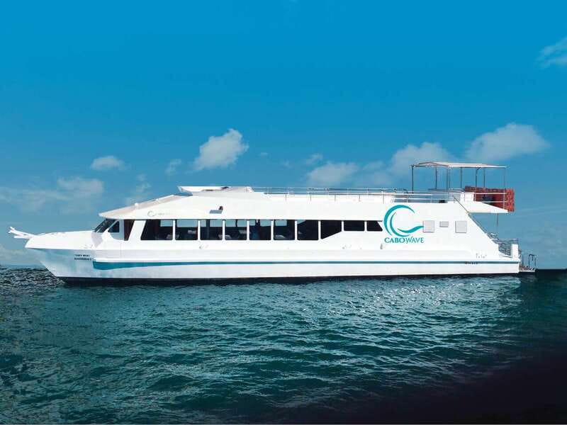 Cabo: Sunset Cruise with Dinner, Music & Open Bar - Key points to know before booking