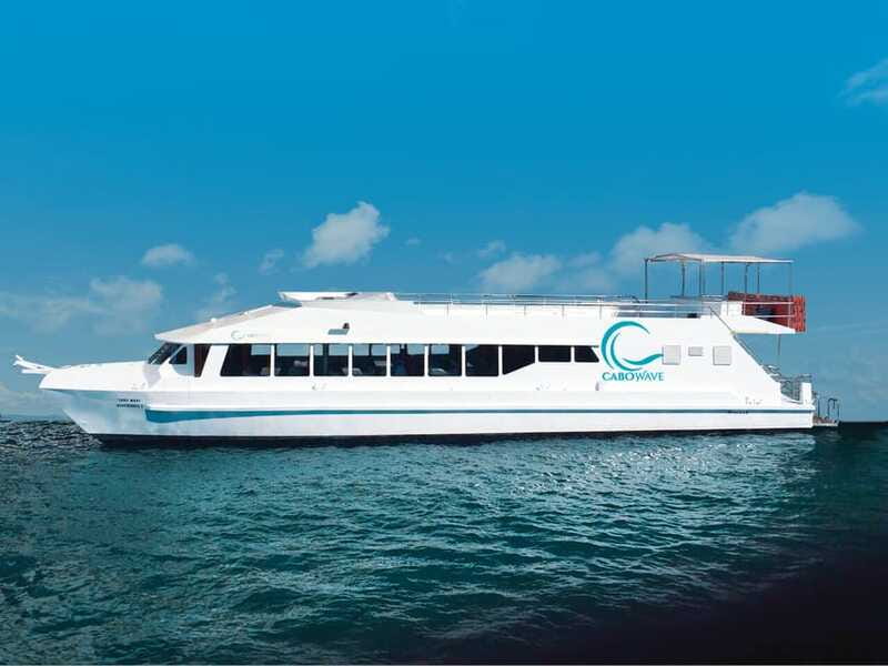 Cabo: Sunset Cruise with Dinner, Music & Open Bar - Should you book the Cabo sunset dinner cruise?