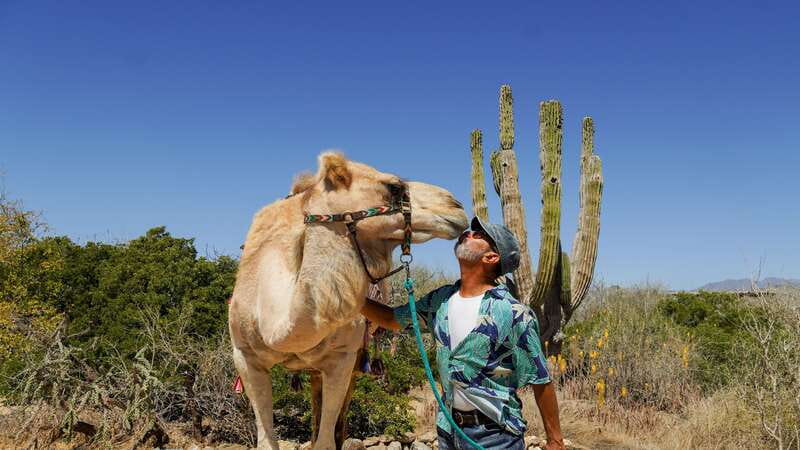 Cabo: Todo Santos Tour with Camel Ranch, Tequila and Lunch - Timing, comfort, and practical limits