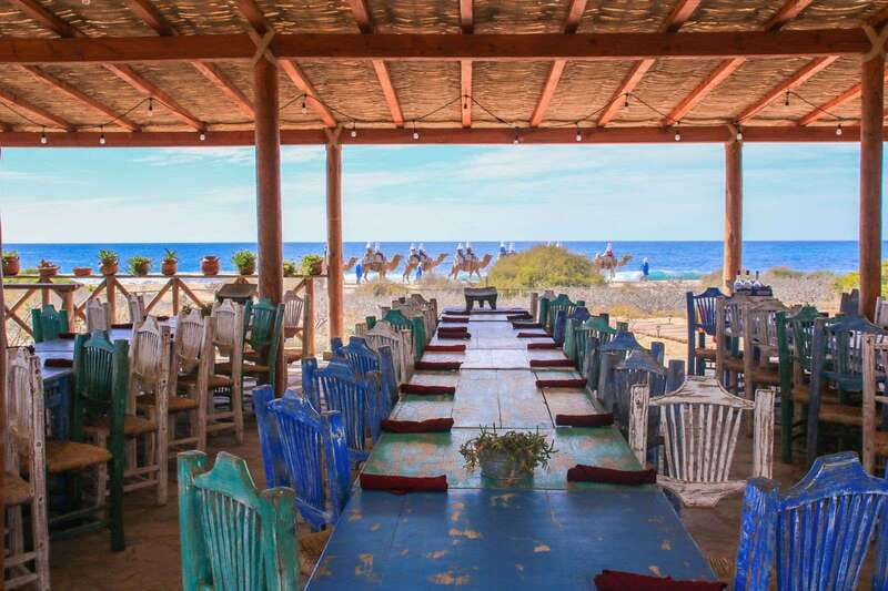 Cabo: Todo Santos Tour with Camel Ranch, Tequila and Lunch - Natural pearls and the value of a craft stop
