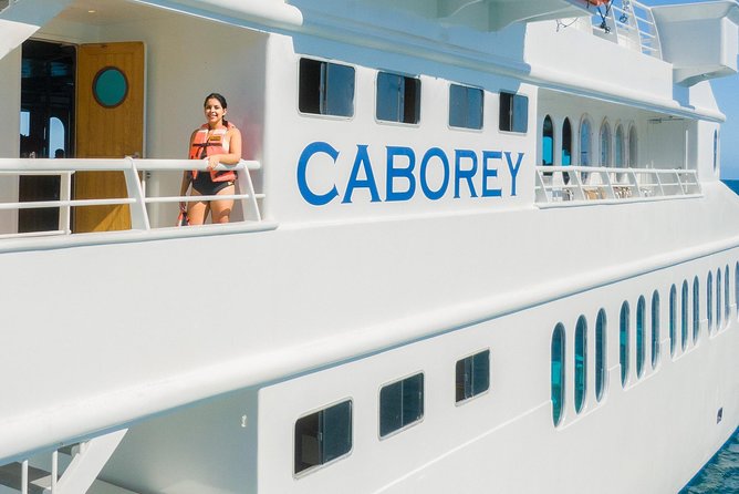 Cabo Whale Watch Three-Level Vessel and Majestic Arch - Why this Cabo whale watch works well