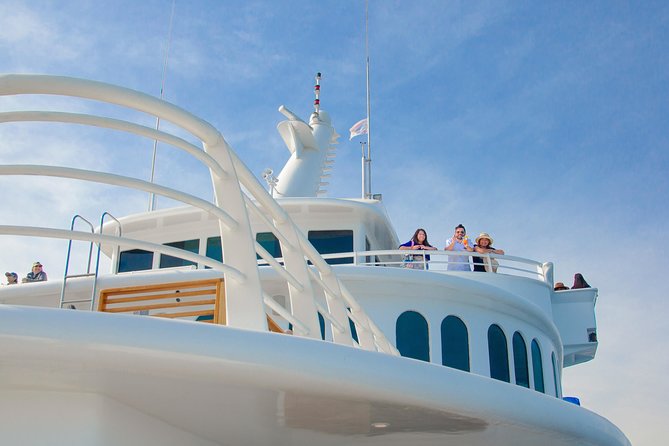 Cabo Whale Watch Three-Level Vessel and Majestic Arch - El Arco, Cabo’s must-have photograph