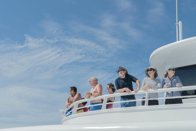 Cabo Whale Watch Three-Level Vessel and Majestic Arch - Breakfast with chilaquiles, eggs, pancakes, and pastries