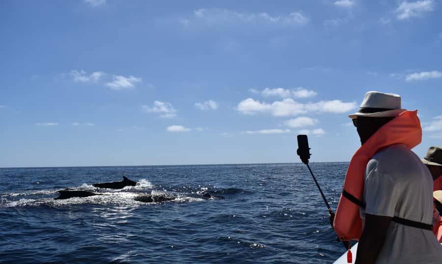 Cabo: Whale-Whatching Boat Trip w/ All-Women Crew and Photos - Searching for humpback and gray whales