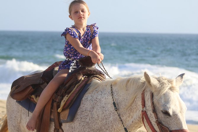 Cabo White Sand Horseback Riding Tour and Tequila Tasting - From Cabo’s hotels to the Baja ranch