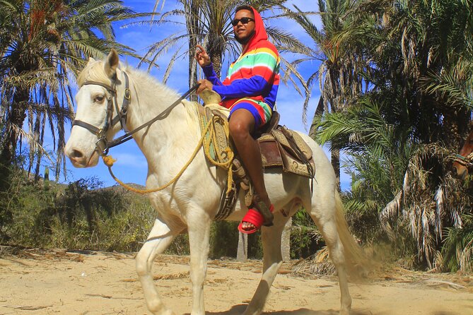 Cabo White Sand Horseback Riding Tour and Tequila Tasting - The costs that can change the value