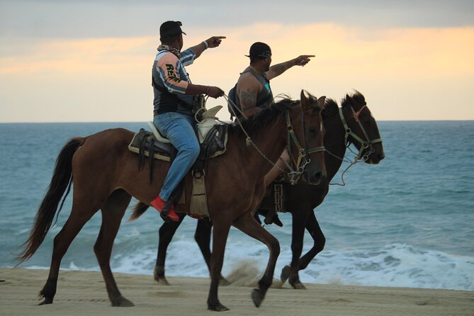 Cabo White Sand Horseback Riding Tour and Tequila Tasting - Who will enjoy this Cabo horseback ride
