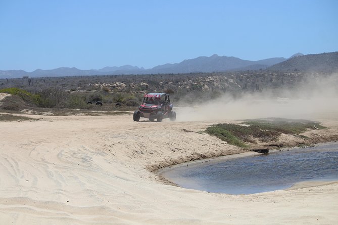 Cabo Wild Desert Tour, Polaris ATV or Razor Single, Double, Triple or Quad! - Who will enjoy this Cabo excursion most
