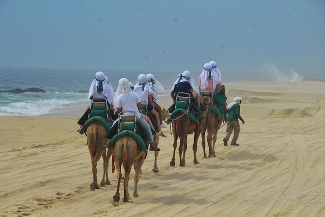 Cactus Combo Combine two of your favorite desert tours - Camel and horseback options need more questions