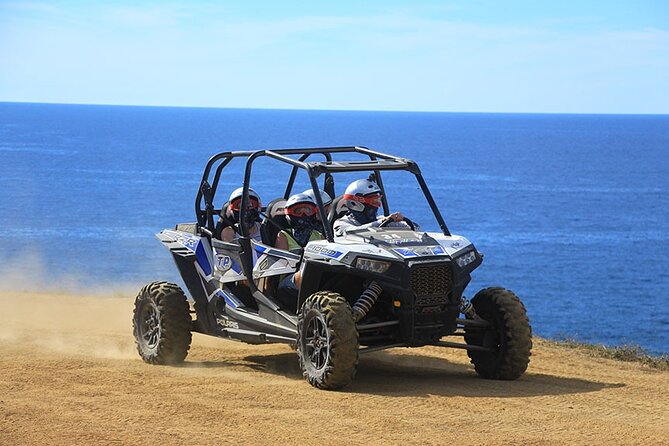 Cactus Combo Combine two of your favorite desert tours - The real cost is closer to the checkout total