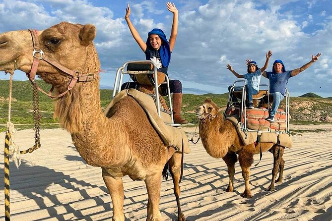 Camel Encounter and Safari Ride with Lunch and Alcohol Tasting - Why a Cabo camel ride feels so unusual