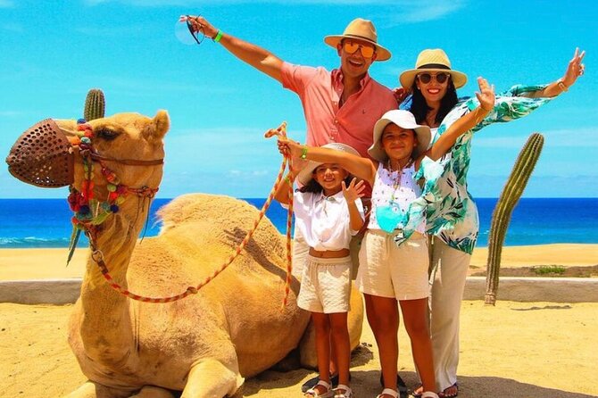 Camel Encounter and Safari Ride with Lunch and Alcohol Tasting - Lunch with tacos, fajitas, and cold drinks