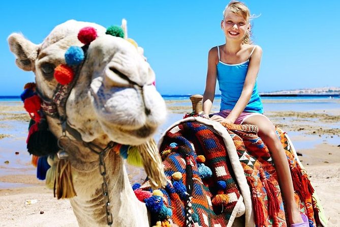 Camel Encounter and Safari Ride with Lunch and Alcohol Tasting - The photo policy can change the value