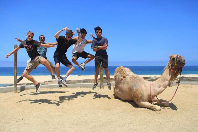 Camel Encounter and Safari Ride with Lunch and Alcohol Tasting - The $25 government fee and total cost