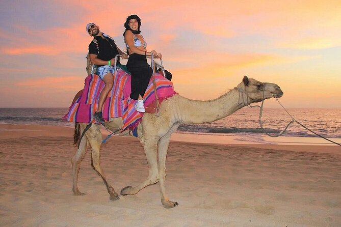 Camel Encounter and Safari Ride with Lunch and Alcohol Tasting - Getting to the beach from Cabo San Lucas