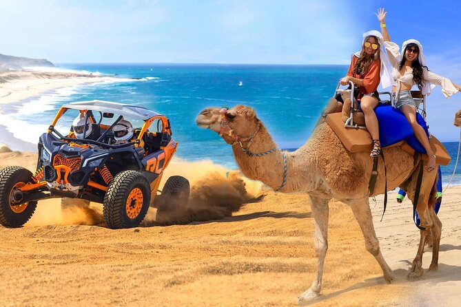 Camel Ride and UTV Combo Adventure, with Tequila Tasting - Quick takeaways for planning