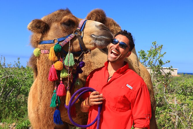 Camel Ride and UTV Combo Adventure, with Tequila Tasting - Switching from camel power to Baja off-road driving