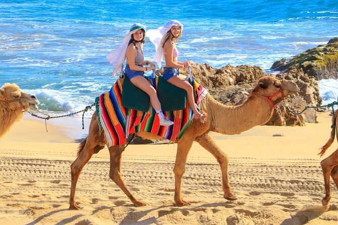 Camel Ride and UTV Combo Adventure, with Tequila Tasting - A one-hour camel ride on Migriño Beach