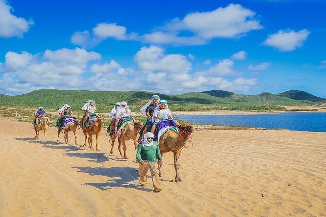 Camel Ride & ATV Combo in Migriño, Mexico - Key points to know before you go