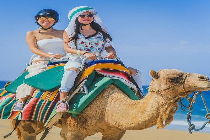 Camel Ride & ATV Combo in Migriño, Mexico - A two-part adventure near Cabo San Lucas