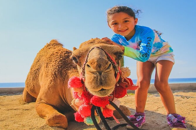Camel Ride & ATV Combo in Migriño, Mexico - The camel ride with Rolando
