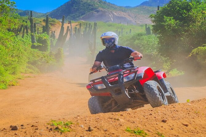 Camel Ride & ATV Combo in Migriño, Mexico - Migriño Beach, wildlife, and a movie connection