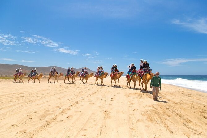Camel Ride & ATV Combo in Migriño, Mexico - What happens before the rides