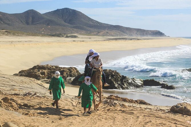 Camel Ride & Encounter at Los Cabos - A camel ride with Pacific views