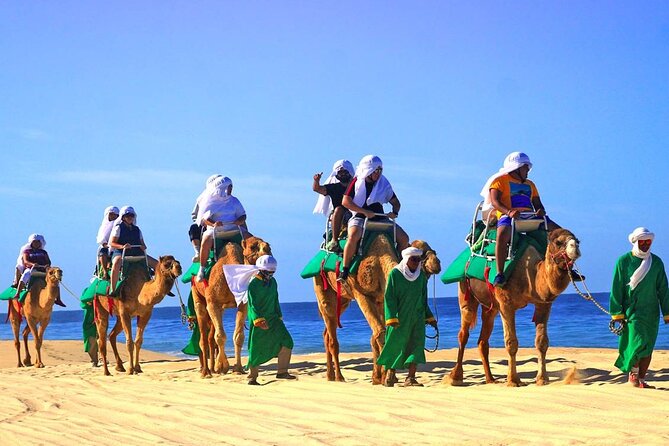 Camel Ride & Encounter at Los Cabos - Who will enjoy this outing most