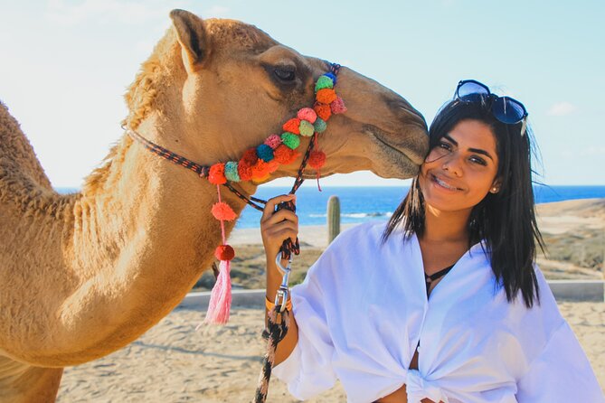Camel Ride Experience in Los Cabos with Pick up and Lunch - Key points to know before you book