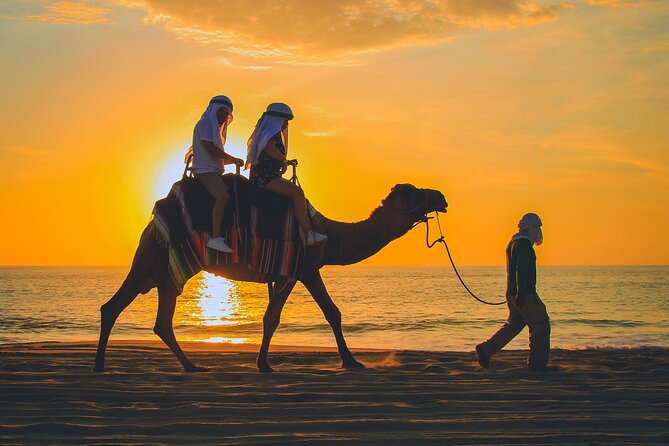 Camel Ride Experience in Los Cabos with Pick up and Lunch - Meeting the camels at Migriño Beach