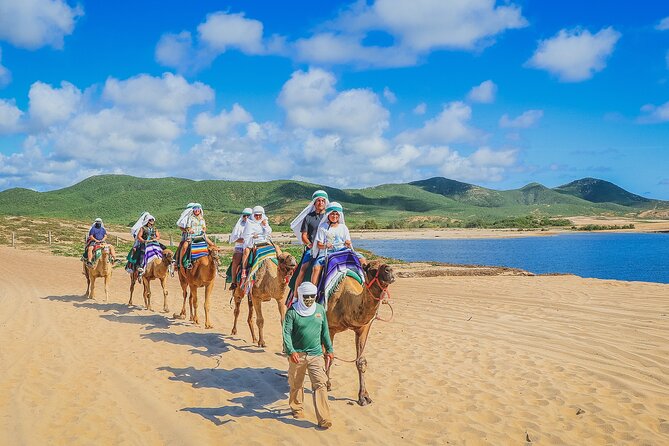 Camel Ride Experience in Los Cabos with Pick up and Lunch - Pickup, timing, and the two-hour schedule