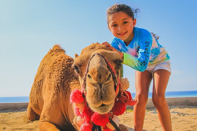 Camel Ride Experience in Los Cabos with Pick up and Lunch - Practical advice for a smoother visit