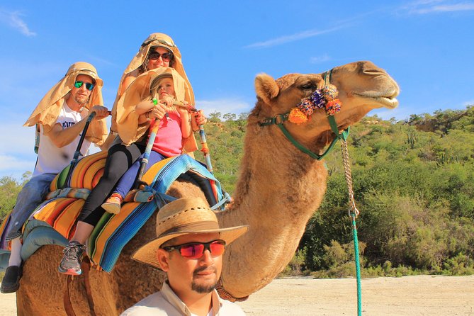 Camel Ride in the Canyon + Thrilling Water-Slides & Snacks - Starting at Wild Canyon near San Jose del Cabo