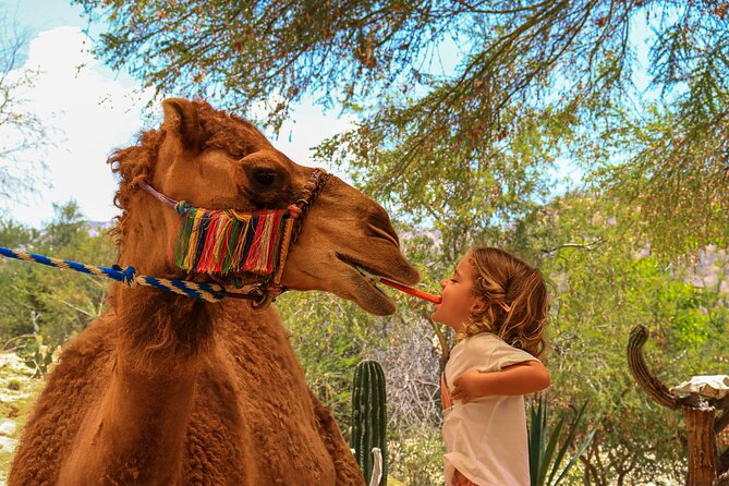 Camel Ride in the Canyon + Thrilling Water-Slides & Snacks - Feeding, kissing, and meeting rescued animals