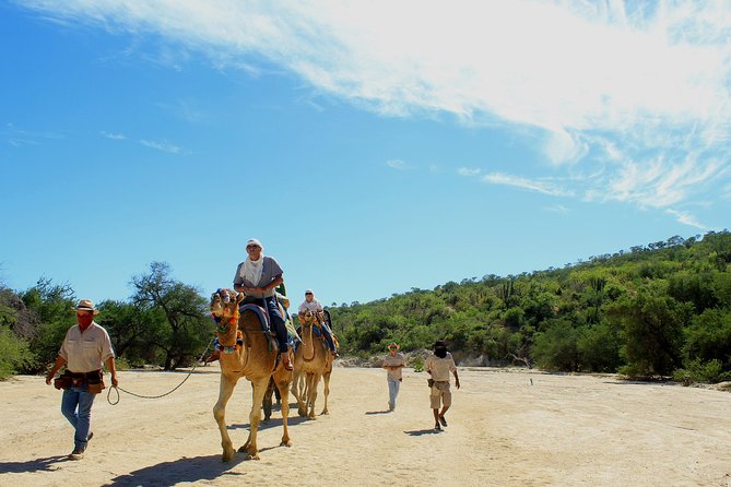 Camel Ride in the Canyon + Thrilling Water-Slides & Snacks - Water slides and snacks after the ride