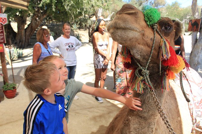 Camel Ride in the Canyon + Thrilling Water-Slides & Snacks - Guides, group size, and family comfort