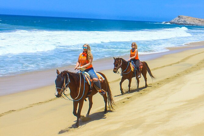 Camel Ride Tour in Los Cabos - Key points at a glance