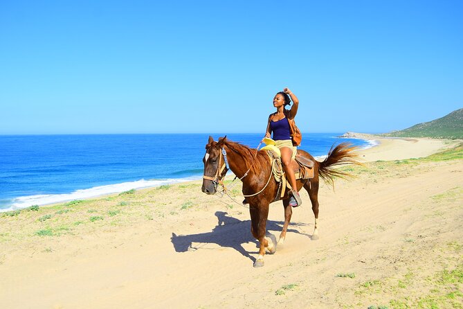 Camel Ride Tour in Los Cabos - What the Los Cabos camel ride is really about