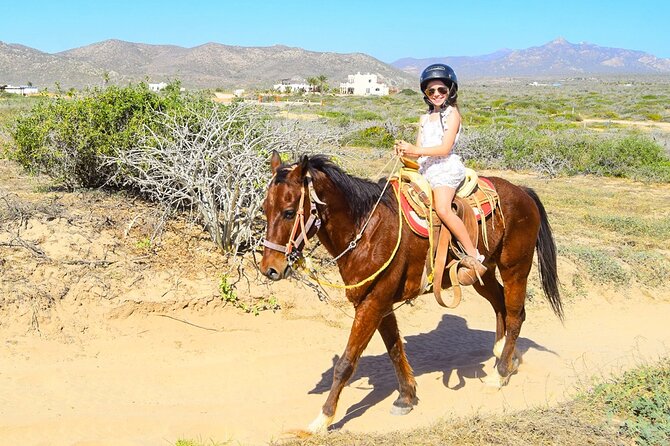 Camel Ride Tour in Los Cabos - Meeting the camels before the ride