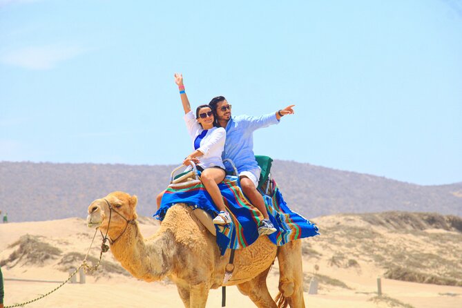 Camel riding experience on the shores of the Pacific Ocean - Key points to know before booking