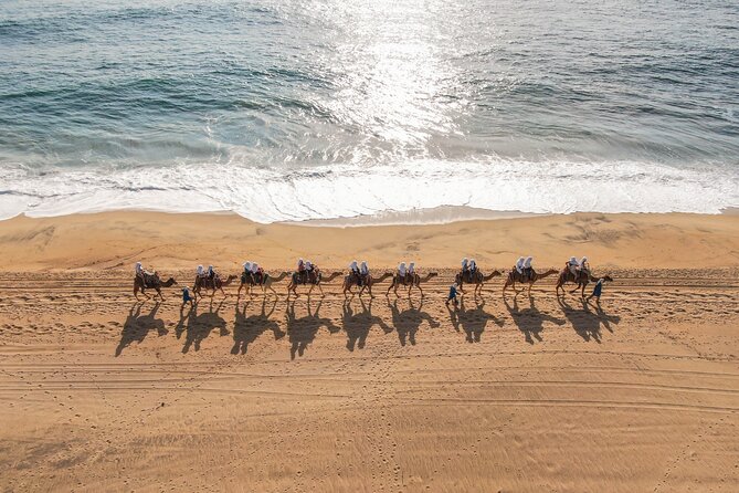 Camel riding experience on the shores of the Pacific Ocean - What happens after you dismount