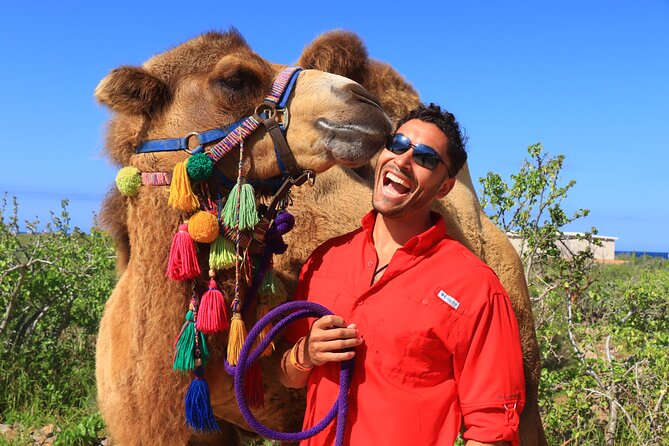 Camel riding experience on the shores of the Pacific Ocean - The real price: $98.63 plus ranch entry