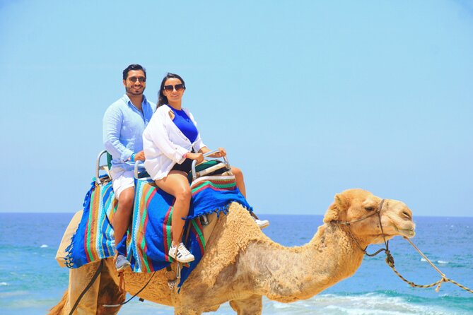 Camel riding experience on the shores of the Pacific Ocean - Pickup timing and the cruise-ship question