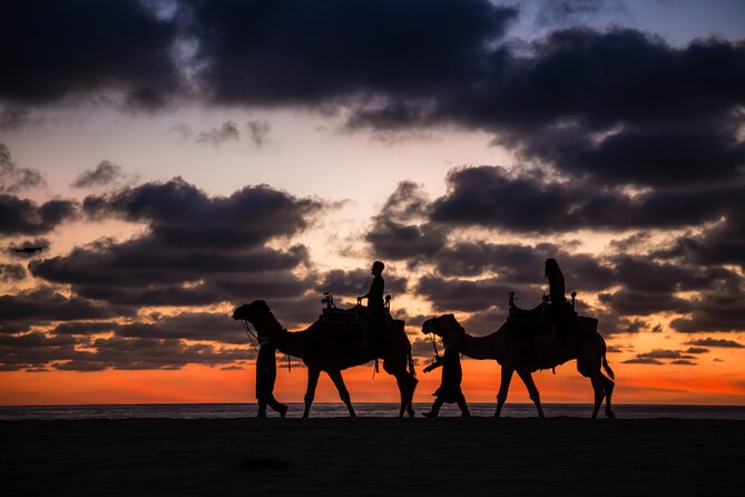 Camel riding experience on the shores of the Pacific Ocean - Who will enjoy this most