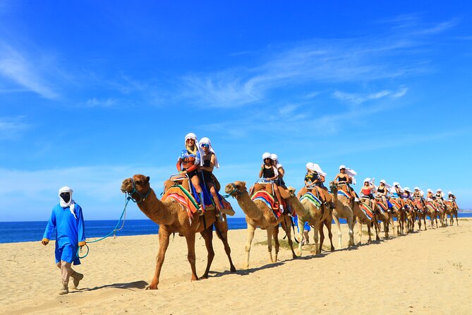 Camel riding experience on the shores of the Pacific Ocean - How the guides shape the day