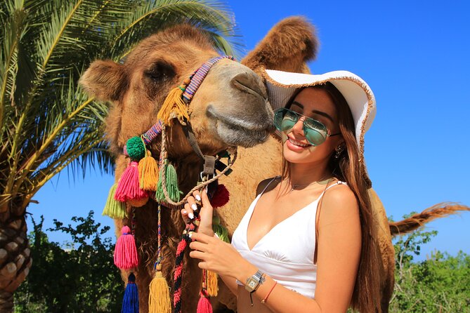 Camel riding experience on the shores of the Pacific Ocean - Twenty minutes through dunes and desert plants
