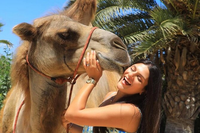 Camel Safari and Gastronomic Experience in Los Cabos - Key points to know before you book