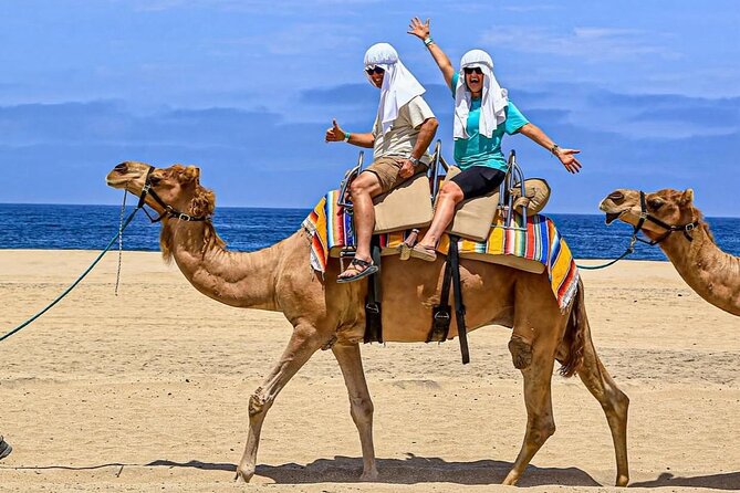 Camel Safari and Gastronomic Experience in Los Cabos - Why the camel ride is only part of the appeal