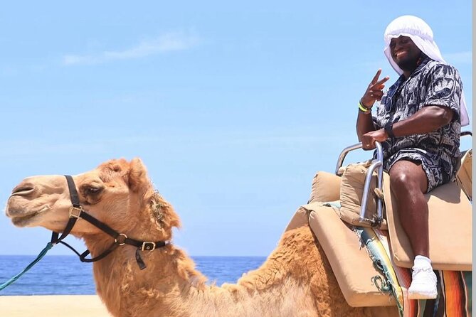 Camel Safari and Gastronomic Experience in Los Cabos - What the $101.74 price really covers